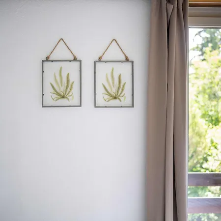 Balcony And Terrace With View And 15min To Interlaken * Beatenberg