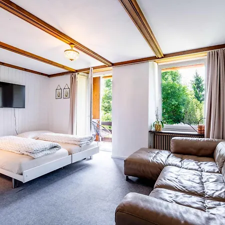 Balcony And Terrace With View And 15min To Interlaken דירה *