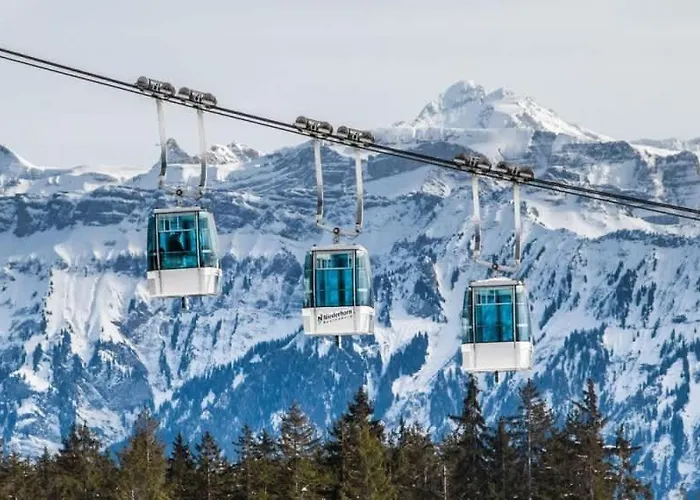 Balcony And Terrace With View And 15min To Interlaken Lejlighed