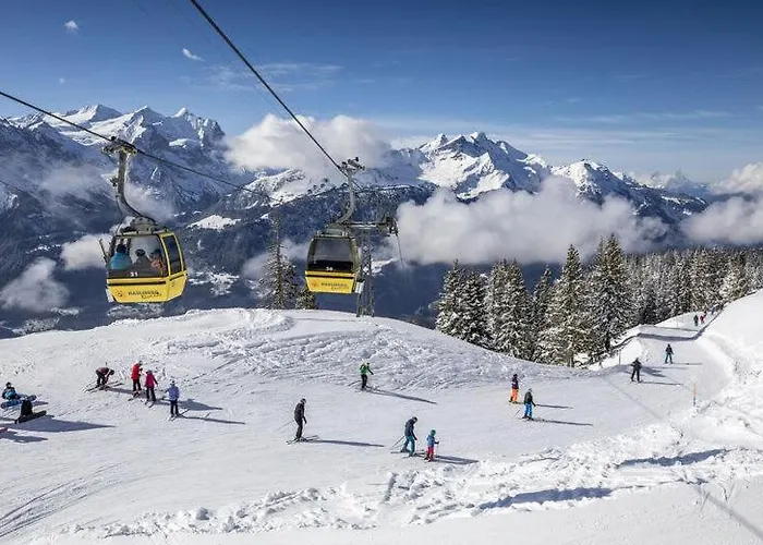 Balcony And Terrace With View And 15min To Interlaken Lejlighed