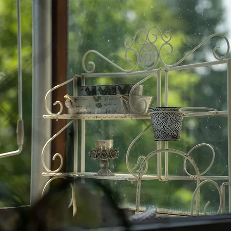 Balcony And Terrace With View And 15min To Interlaken Apartament Beatenberg